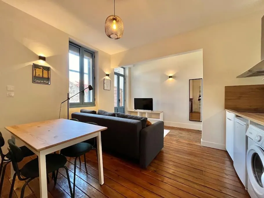Le Printemps * Bel Appartement Climatise * Hypercentre Toulouse 0*,  France