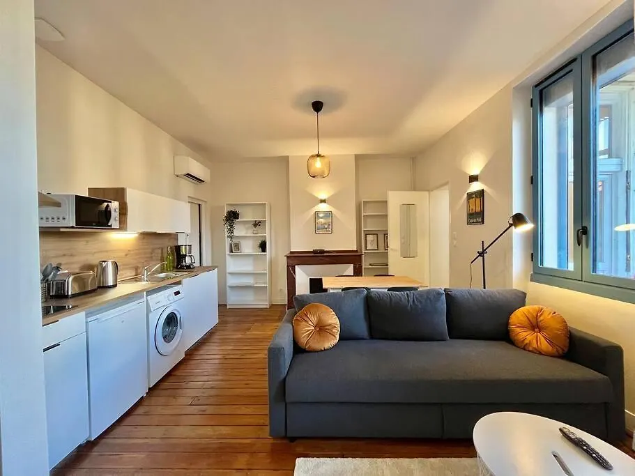 Le Printemps * Bel Appartement Climatise * Hypercentre Toulouse France